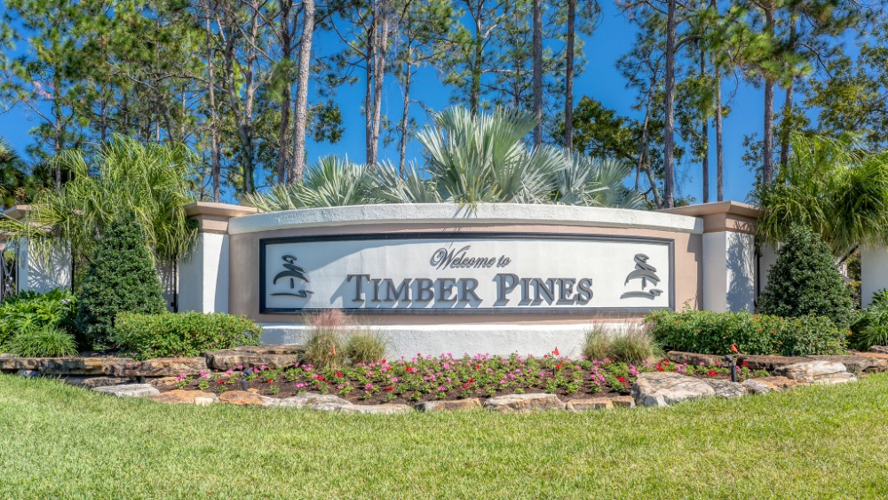 Timber Pines